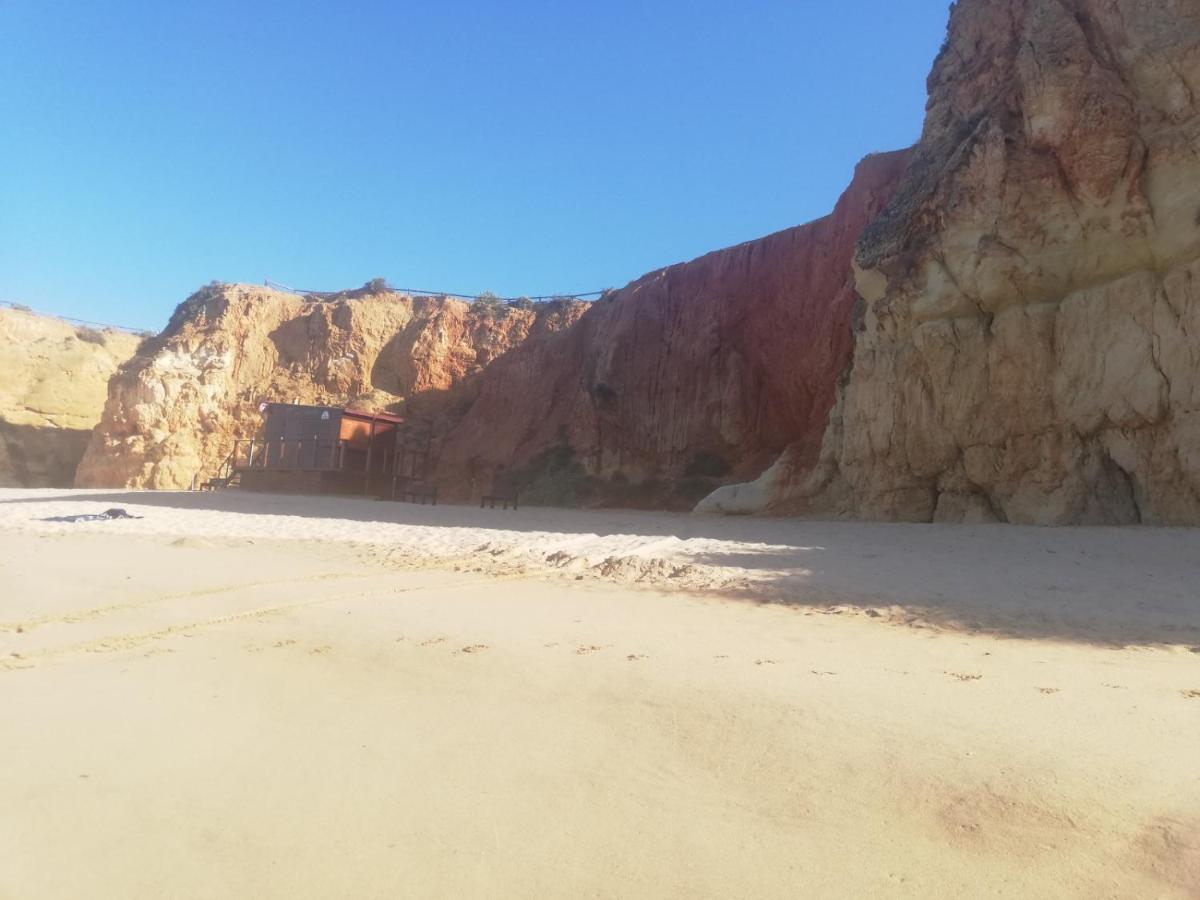 Rocha Praia Mar Beach Front Line Bay 포티마오 외부 사진