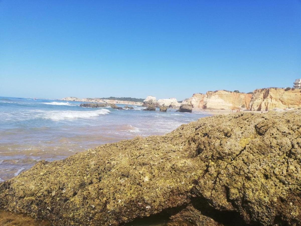 Rocha Praia Mar Beach Front Line Bay 포티마오 외부 사진